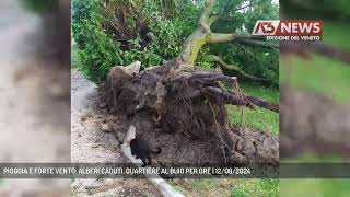 PIOGGIA E FORTE VENTO ALBERI CADUTI QUARTIERE AL BUIO PER ORE  12092024 [upl. by Ambrogino]