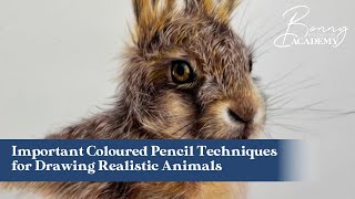 Important Coloured Pencil Techniques for Drawing Realistic Animals [upl. by Naira29]