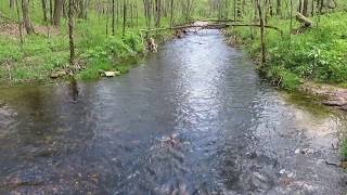 BEAVER CREEK VALLEY MN State Park  In May [upl. by Norrag]