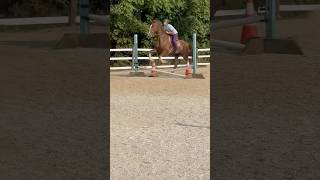 Raw for an edit EquestrianLifestyleOfficial [upl. by Noland960]