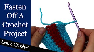 How to Finish a Crochet Project  Beginner Course Lesson 75 [upl. by Yhotmit]