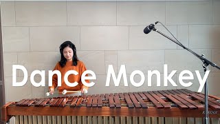 Dance Monkey  Tones and I  Marimba Cover [upl. by Atekahs705]