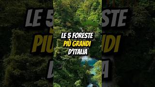 LE 5 FORESTE PIÙ GRANDI D’ITALIA🌳 [upl. by Crescantia]