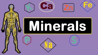 Mineral Nutrition Macro amp Trace  Functions amp Sources  Human body [upl. by Aseefan]