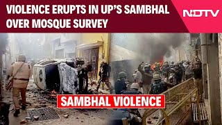 Sambhal Violence Latest News  Violence Erupts In UP Sambhal Over Mosque Survey Tear Gas Used [upl. by Damle]