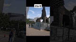 ብሄራዊ አዲስ አበባ walkingtour addisababawalkingtour habesha zenaaddisababa 4k Beherawi ethiopia [upl. by Jeffcott951]