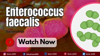 Enterococcus faecalis Classification Virulence and Antibiotic Resistance  A Comprehensive Guide [upl. by Rosemaria]