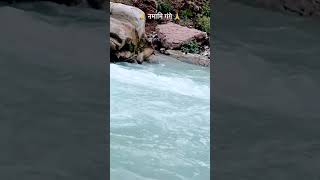 Namami Gange trending song ytshorts viralshorts river nature [upl. by Kaltman147]