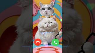 Mi Telephone Calling Effect ringtone ♥️♥️ Call Sound Effect shorts ringtone cat [upl. by Hara]