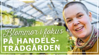 Blommor i fokus på handelsträdgården när det är sportlov [upl. by Steven]