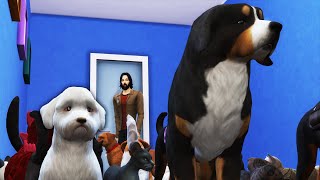 I Abducted Everyones Pets and Ruined the Neighborhood in The Sims 4 [upl. by Desiree]