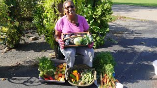 Last summer harvest of the year [upl. by Tarton]