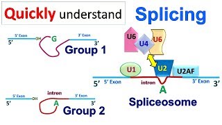 Splicing [upl. by Yevrah]