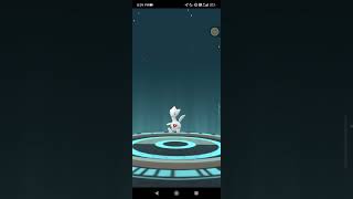 TOGEPI EVOLUTION TO TOGETIC IN POKEMON GO [upl. by Eak305]