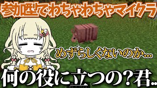 2 何の役に立つの？君・・・ 珍しくないのか・・・ 視聴者参加型でマイクラ 【はちワールド】 【マインクラフト】【Minecraft】 [upl. by Blondell581]