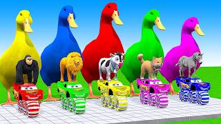 5 Giant Duck Cartoon Cow Giraffe Elephant Lion Paint Wild Animals Crossing Fountain Animation [upl. by Luapleahcim]