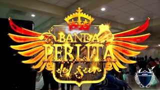 banda perlita del sur el dote [upl. by Yardna571]