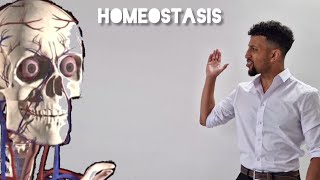 Science Raps GCSE Biology  Homeostasis [upl. by Hughes]