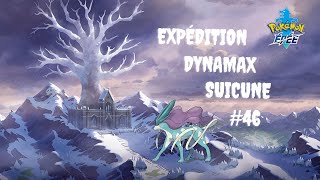 EXPEDITION DYNAMAX SUICUNE FR 46 [upl. by Assisi]