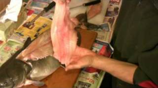 How to Fillet a Catfish  Easy and Simple Catfish Filleting [upl. by Ddart]