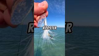 Let’s fish with a ROOSTER TAIL 🐟🎣 fishing fish [upl. by Ear]