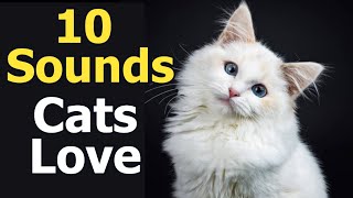 10 Sounds Cats Love To Hear The Most [upl. by Greenman]