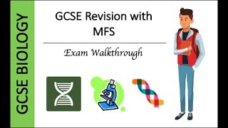 GCSE Biology Homeostasis and Response Walkthrough Part 1 [upl. by Ytirev]