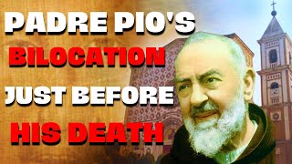 The Legendary Bilocation Of Padre Pio amp Padre Domenico Da Cese [upl. by Xirdnek]