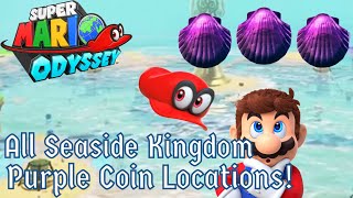 All Seaside Kingdom Purple Coin Locations  Super Mario Odyssey Tutorial [upl. by Etakyram]