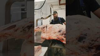 Tajima Wagyu Brisket 🔪 shorts brisket tajima wagyu bbq butcher butchering youtube [upl. by Nosnar]