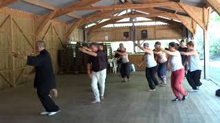 Romain Bussi Tortue Wudang aout 2018 [upl. by Lauraine]