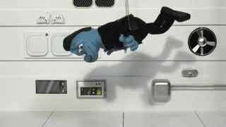 Life of Cells Lipofectamine® 3000 transfection reagent StemProduct Video [upl. by Soph401]