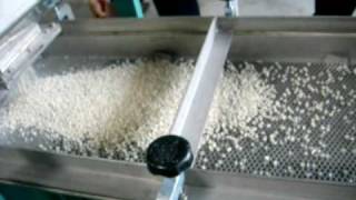 Horizontal Vibrating Sieving Machine [upl. by Ralfston278]