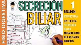 FISIOLOGIA DE LA SECRECIÓN BILIAR formación de las SALES BILIARES RESUMEN estructura BILIS  1 [upl. by Ritz]