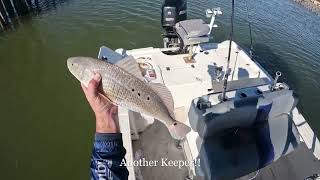 Fishing Taylor Lake amp Seabrook for Reds amp Trout redfish speckledtrout shimano reelspoolspinning [upl. by Nevaed552]