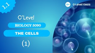 Introduction to cells and microscopes  O Level Biology 5090  Chapter 1  Cells  Unit 11 [upl. by Shelbi276]