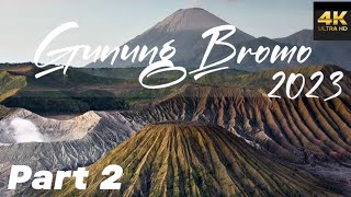 Open Trip Bromo ⛰️ Hanya 299K ❗️❓Dapatnya Apa Aja ❓ [upl. by Skutchan171]