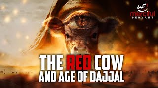 THIS RED COW MARKS THE AGE OF DAJJAL [upl. by Ennovihs355]