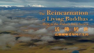 The Reincarnation of Living Buddhas How is the Dalai Lama chosen [upl. by Mccomb]