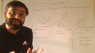 Poky mutation in Neurospora example of Extrachromosomal inheritance [upl. by Ruperto319]