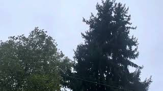 Thunder Storm  Surrey BC Canada [upl. by Nosnar]