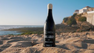 Discover Ramilo Wines from the Colares Region [upl. by Sofia]