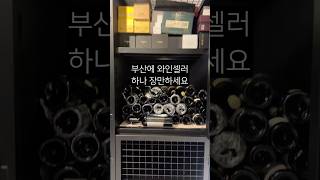 나는 부산에 세컨하우스는 없지만 셀러는 있다 thecellardoor 더와인셀러도어 협찬 부산와인셀러 와인 와인보관 [upl. by Ayotl360]