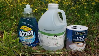 Natural Homemade Weed Killer Recipe Tested by Lawn Care Pro [upl. by Concoff295]