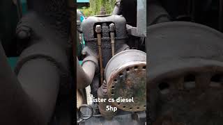 Lister cs diesel stationary Engine [upl. by Kcaj862]