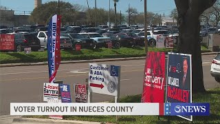 Nueces County voter turnout totals after Tuesdays primary [upl. by Neda862]