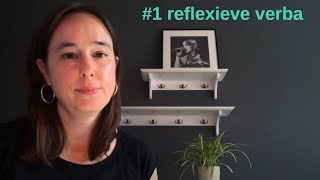 zakelijk Nederlands B2C1 reflexieve werkwoorden reflexive verbs learndutch nt2nederlandsleren [upl. by Beller954]