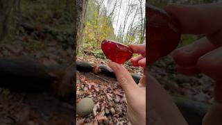 Check out this carnelian I found😍 [upl. by Nally270]