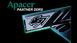 Apacer Panther Series DDR5 RGB Memory Kit  First Look [upl. by Lertnom]