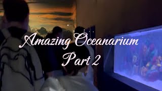 Amazing Oceanarium  Part 2  Manila Ocean Park [upl. by Nahtnahoj969]